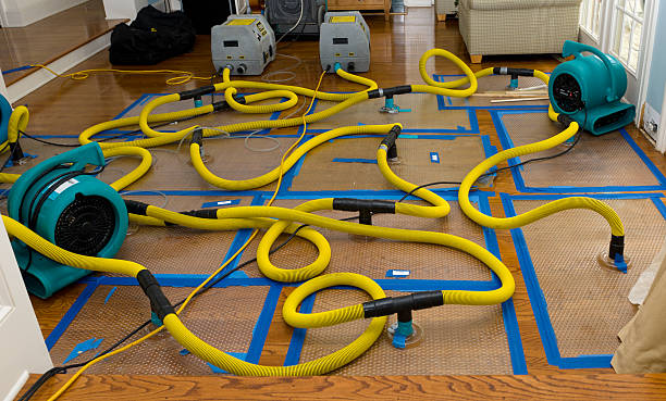 Professional Sewage Cleanup technician working in Oxford, NC